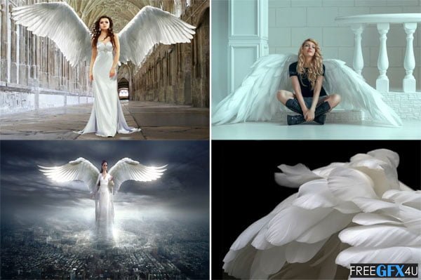 30 Wings PNG Overlays
