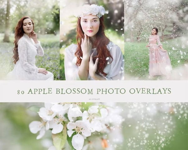 Blossom Spring Photoshop Overlays Blossom Spring Overlays