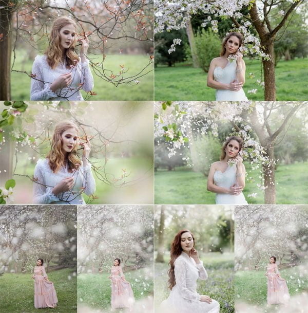 Blossom Spring Photoshop Overlays Blossom Spring Overlays