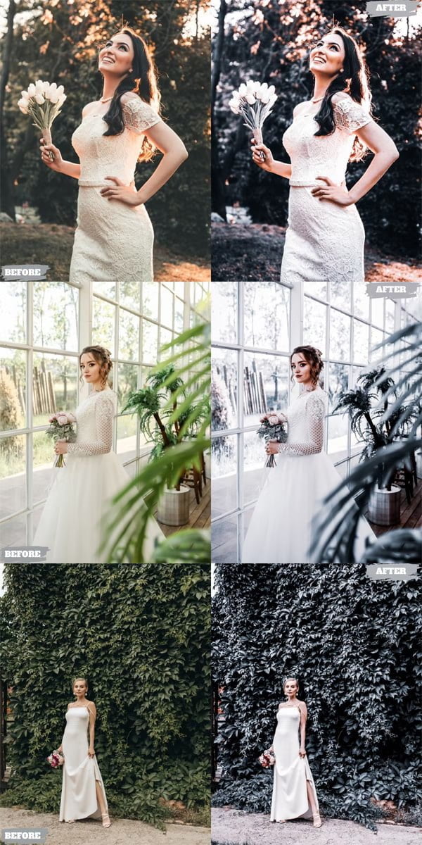 Brozen Matte Presets for Desktop and Mobile