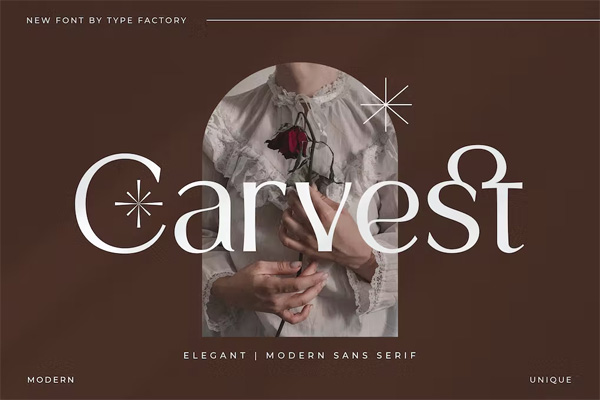 Carvest Elegant Modern Sans Serif Carvest Elegant Modern Sans Serif