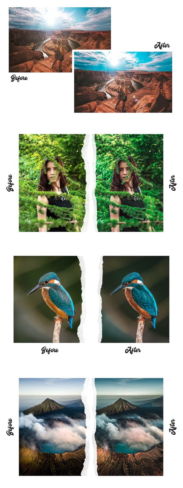 Nature Vol. 2 15 Premium Presets