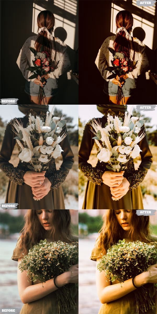 Rustic Lite Presets Dekstop and Mobile
