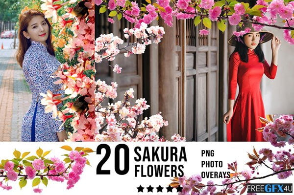 Sakura Photo Overlays