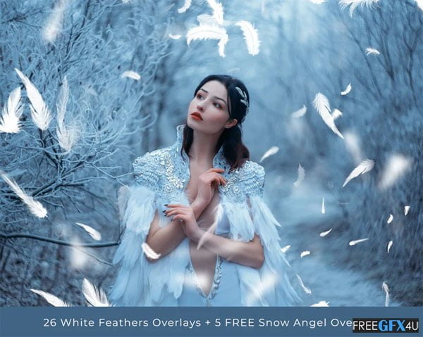 White Falling Feathers Photo Overlays White Falling Feathers Overlays