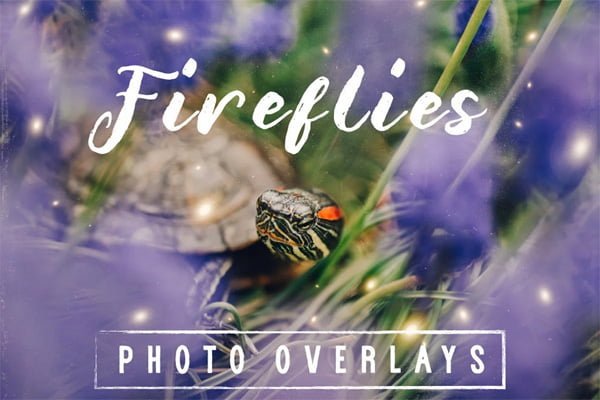 30 Dreamy Firefly Photo Overlays