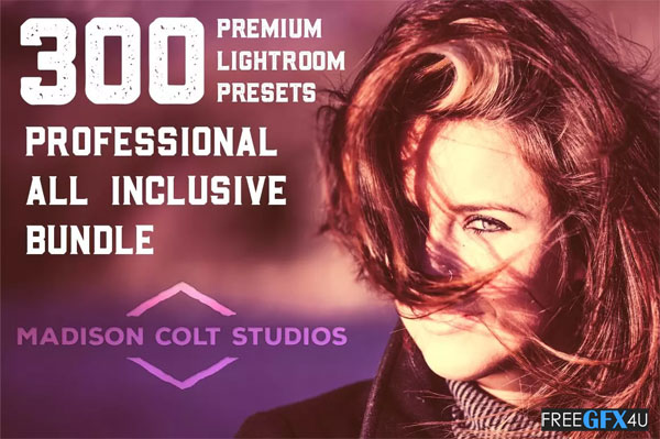 Professional Lightroom Presets