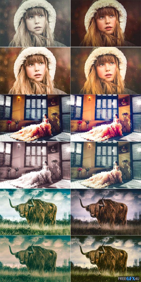 Professional Lightroom Presets