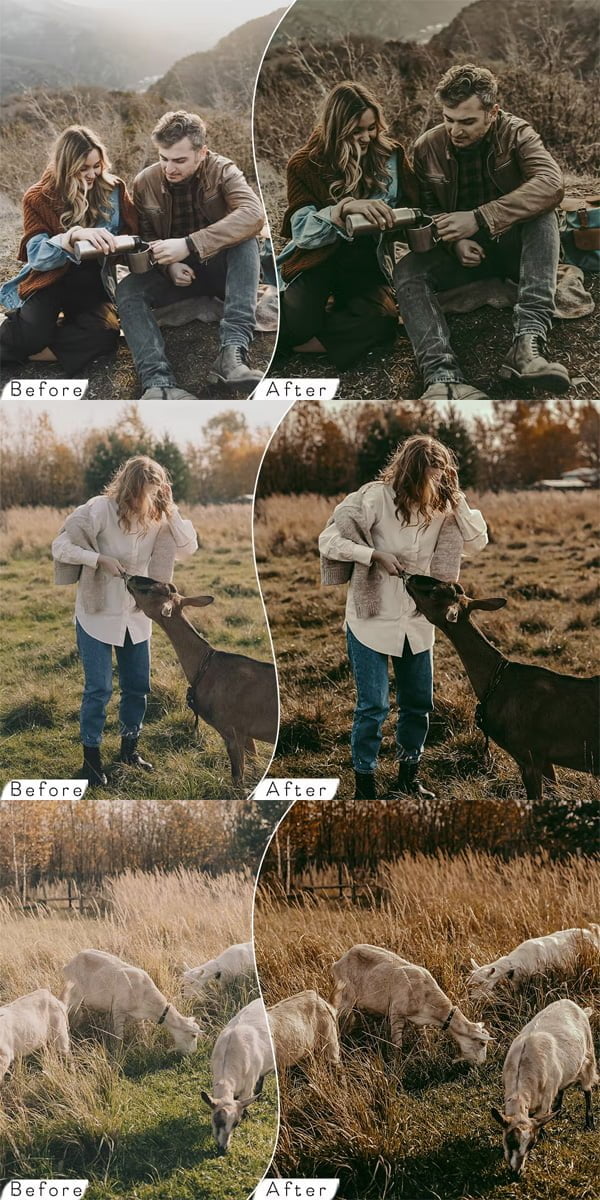Earth Tones Cinematic Photoshop Actions