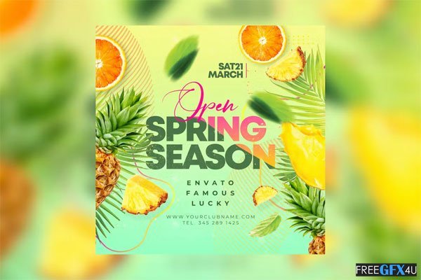 Spring Party Flyer