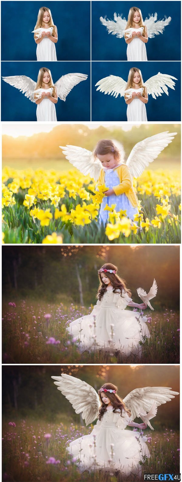 White Angel Wings Overlays White Angel Wings Overlays