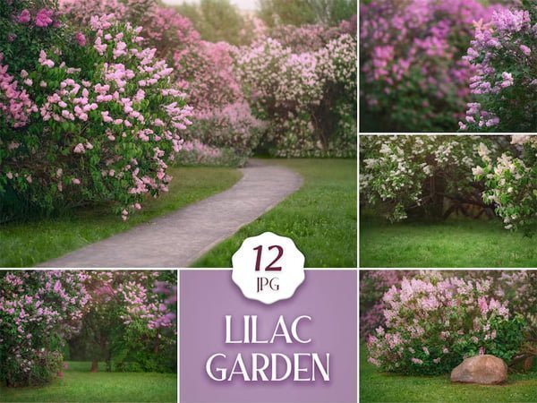 12 Lilac Garden Backdrops