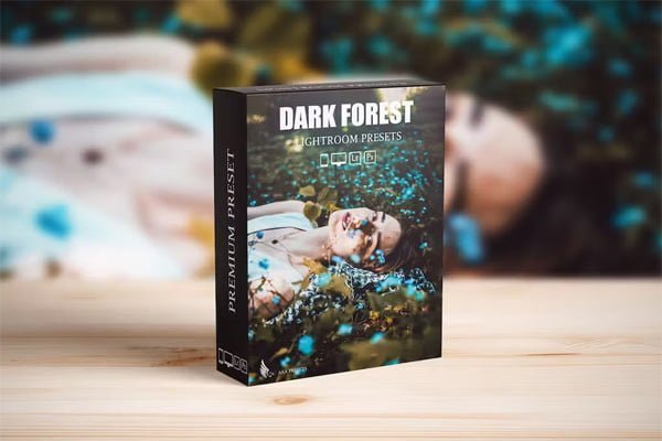 Dark and Moody Lightroom Presets Dark and Moody Lightroom Presets