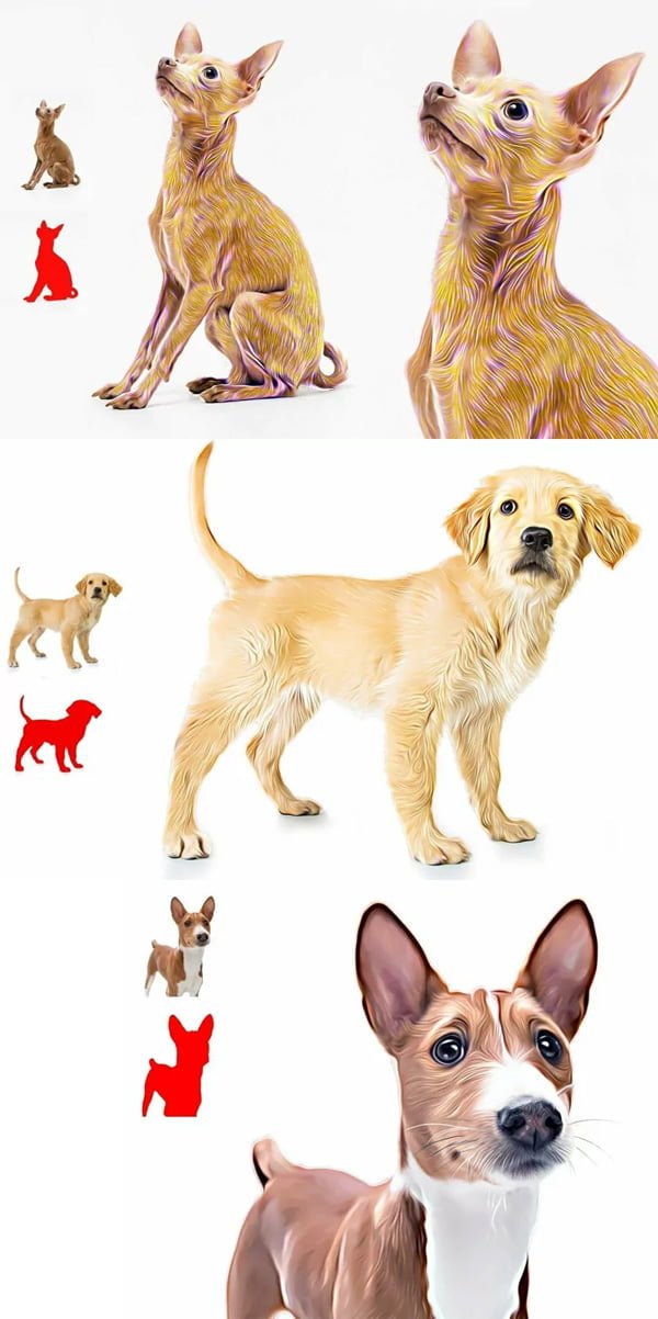 Pet Digital Paint Effect