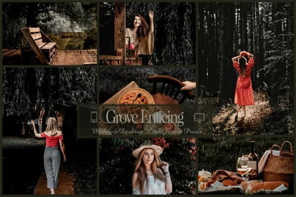 12 Grove Enticing Mobile & Desktop Presets 12 Grove Enticing Mobile & Desktop Presets