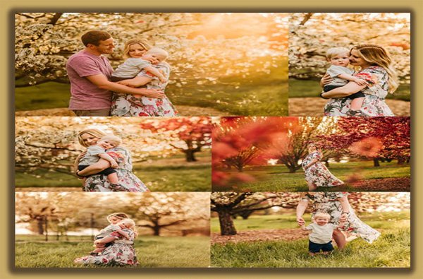 Lemon & Lace Sunshine Lightroom Presets Lemon & Lace Sunshine Lightroom Presets