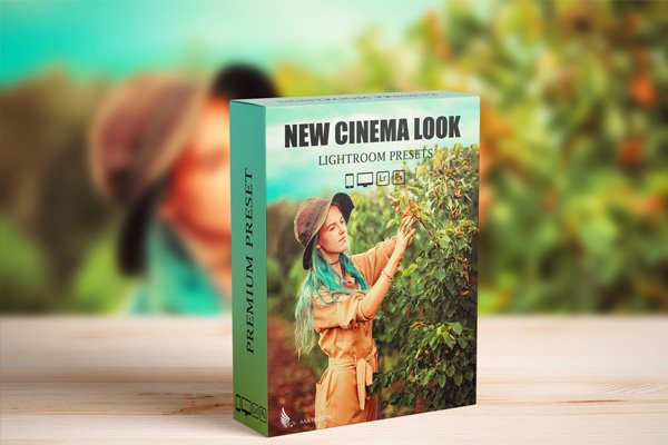 Steal Film Cinematic Look Presets Steal Film Cinematic Look Presets