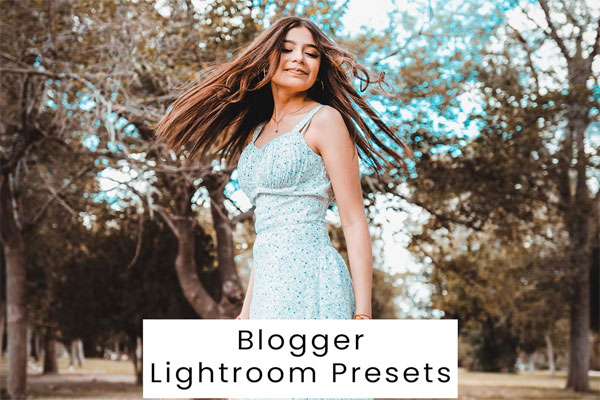 Blogger Lightroom Presets Blogger Lightroom Presets