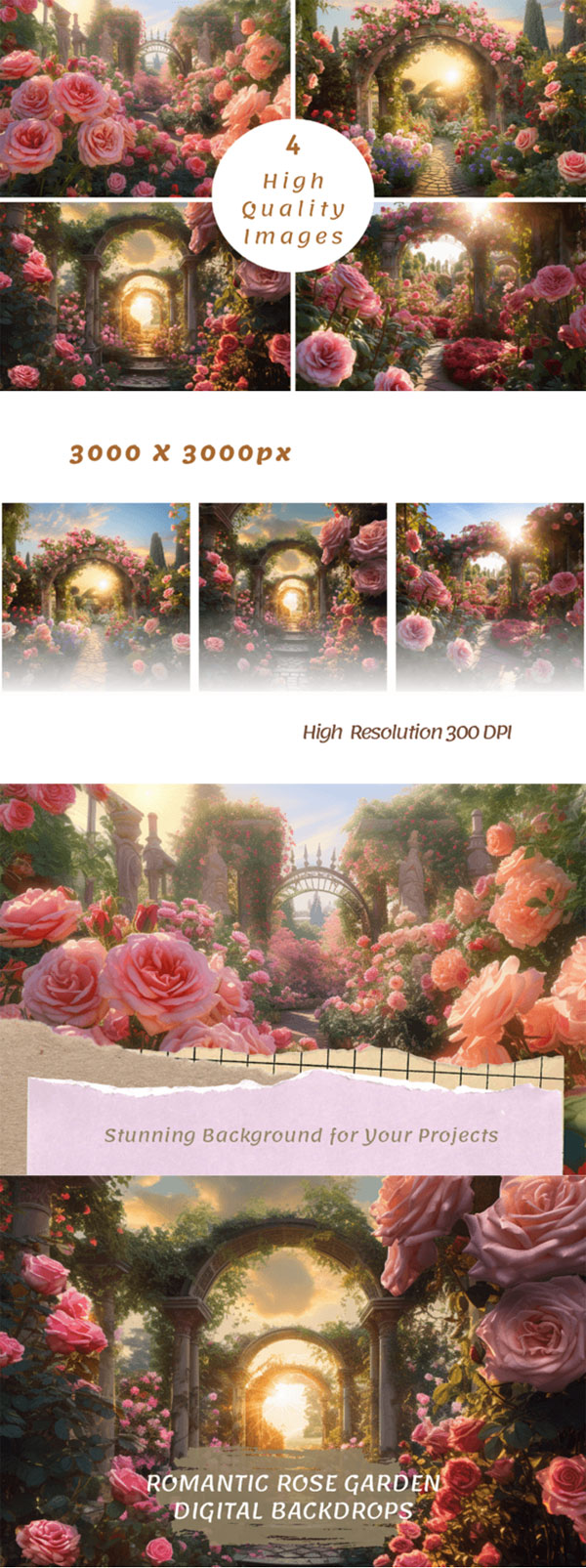 Rose Garden Digital Backdrop Images