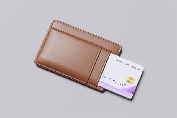 Credit Card Screen Mockup Credit Card Screen Mockup