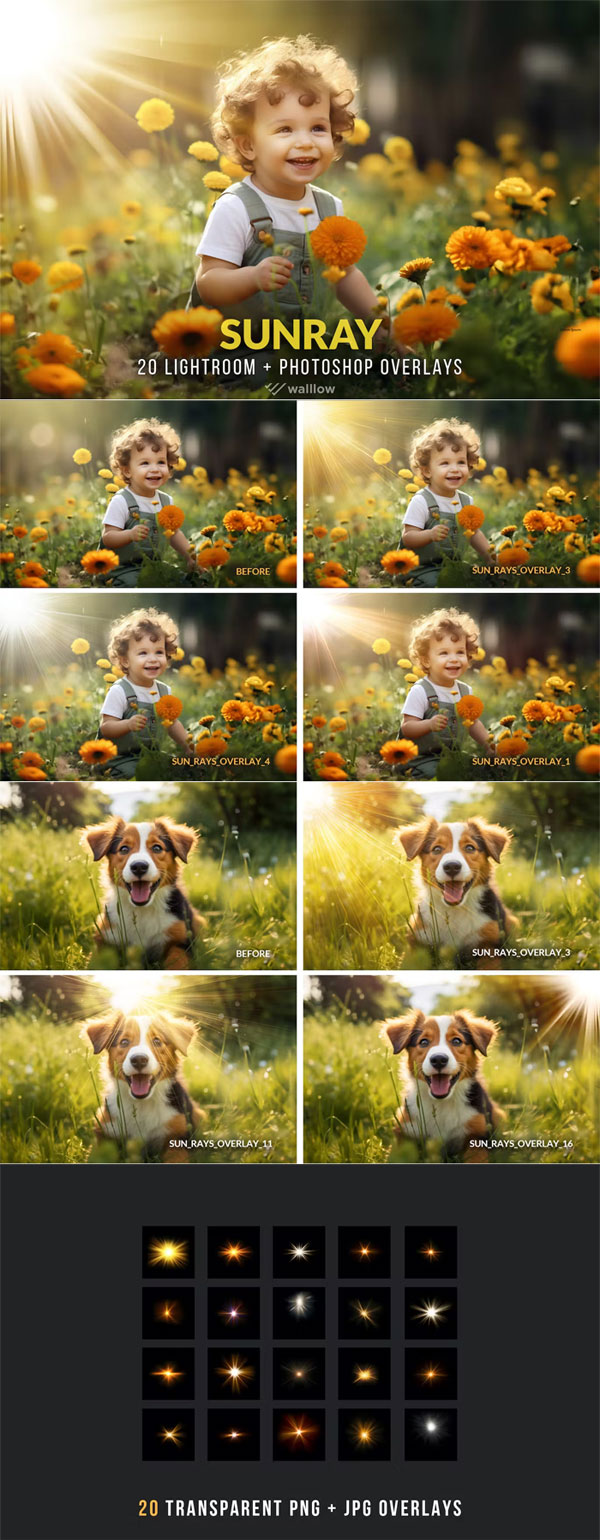Realistic Sunlight Overlays PNG and JPG