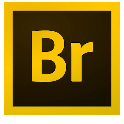 Adobe Bridge CC 2021 Download For Windows